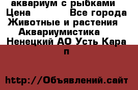 аквариум с рыбками › Цена ­ 1 000 - Все города Животные и растения » Аквариумистика   . Ненецкий АО,Усть-Кара п.